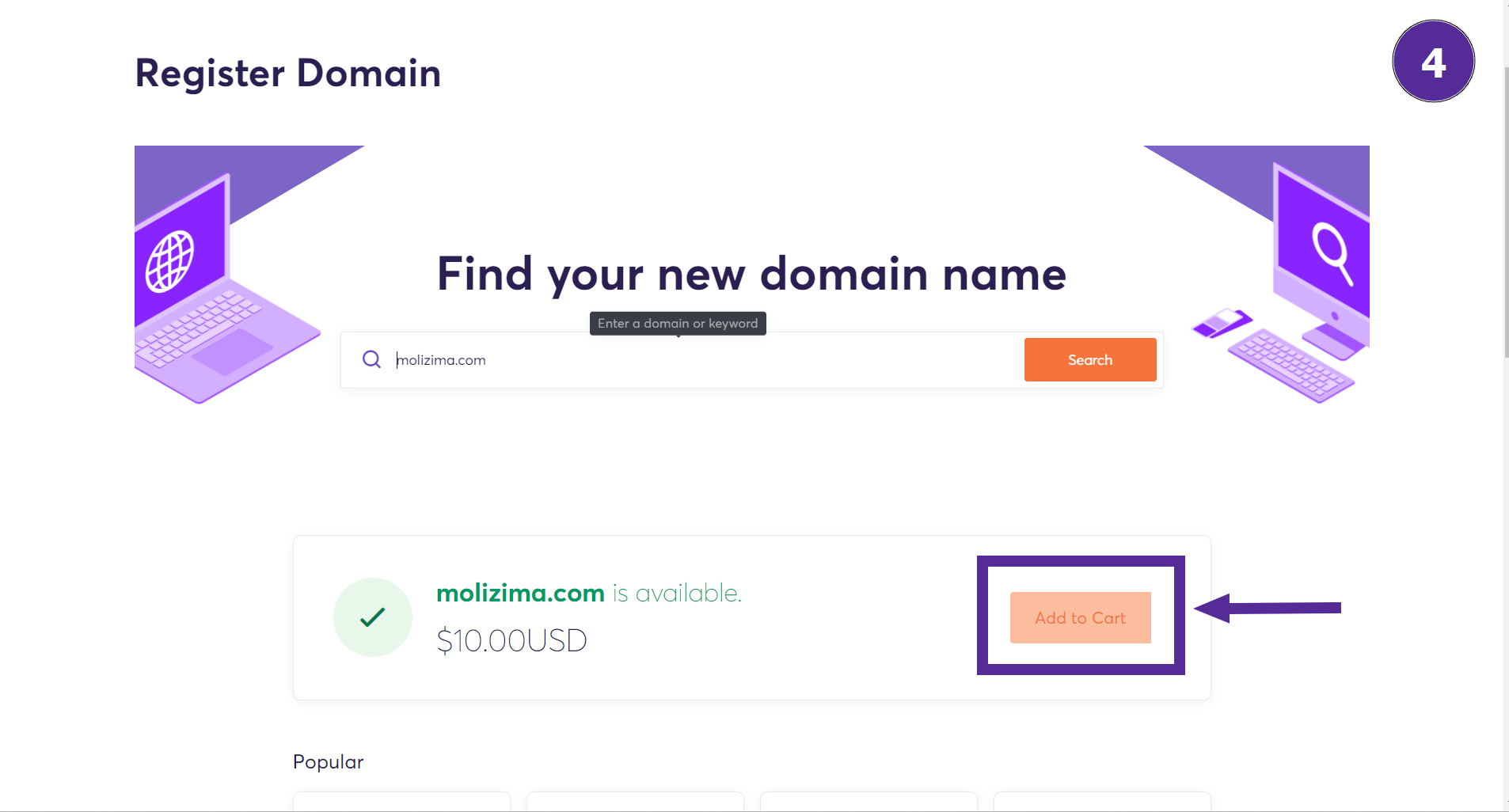 add domain to cart