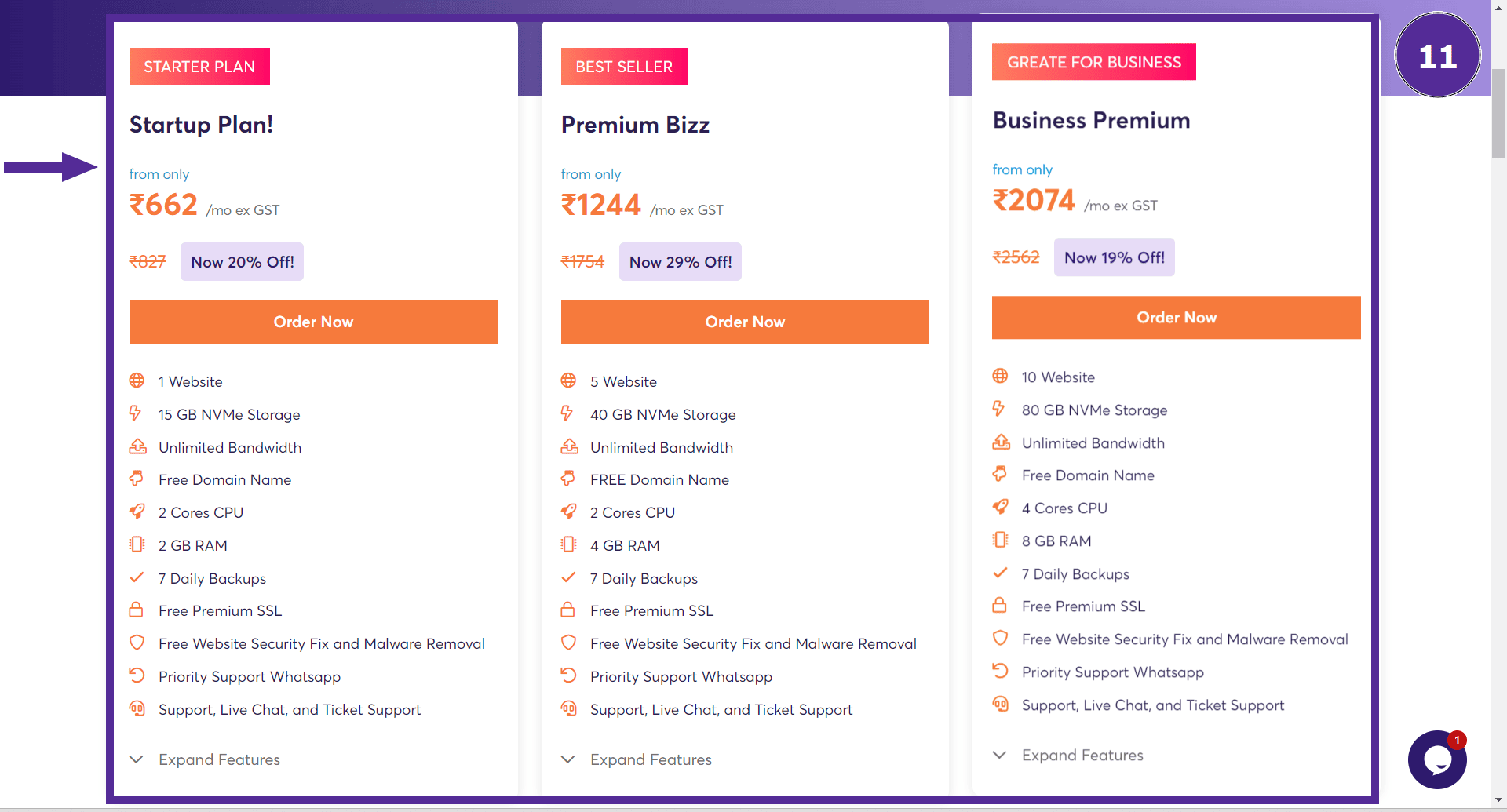 business hosting plan