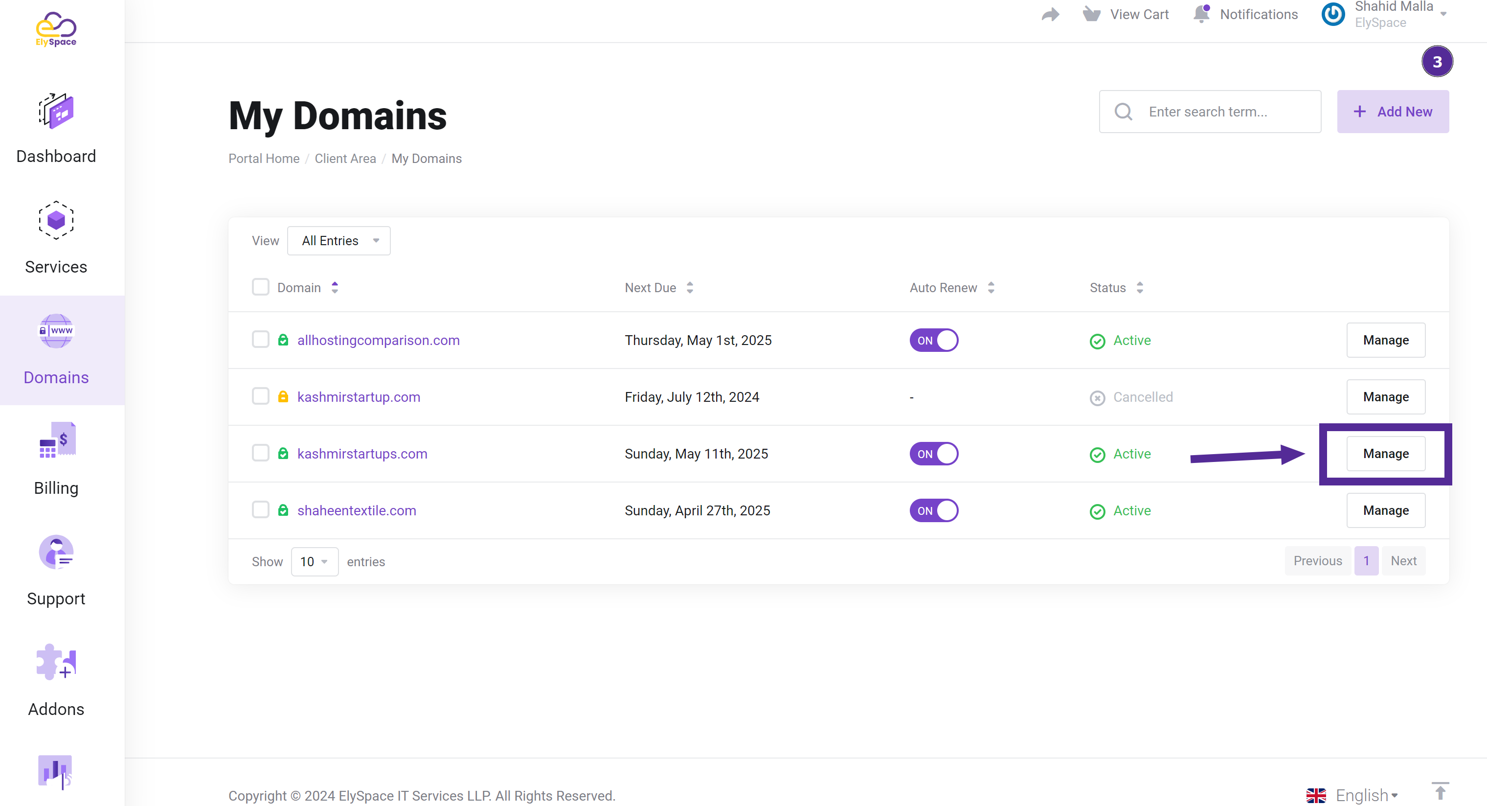 select anD manage your domain name 